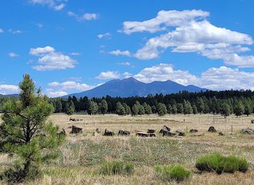 arizona/flagstaff/attraction/the-arboretum-at-flagstaff