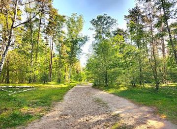 germany/potsdam/attraction/grunewald