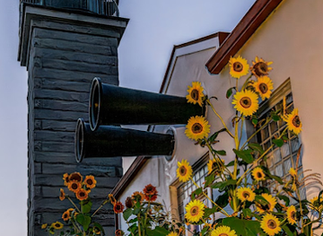 rhode-island/beavertail-state-park/attraction/beavertail-aquarium