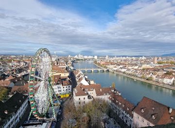 switzerland/basel/grossbasel/attraction/basler-munster