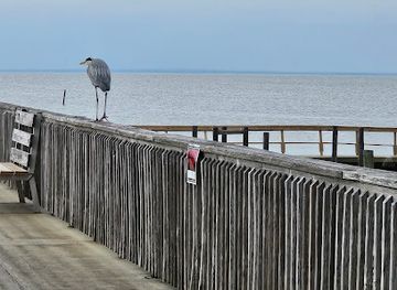 alabama/fairhope/attraction/fairhope-pier