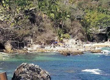 mexico/pacific-coast/attraction/vallarta-adventures-dolphin-center