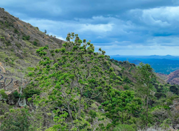 tanzania/mikumi-national-park/attraction/mahembe