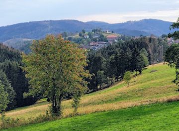 germany/harz-national-park/attraction/mountain-meadows-near-st-andreasberg