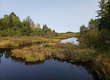 wisconsin/northern-highland/attraction/northern-highland-american-legion-state-forest-lumberjack-trails