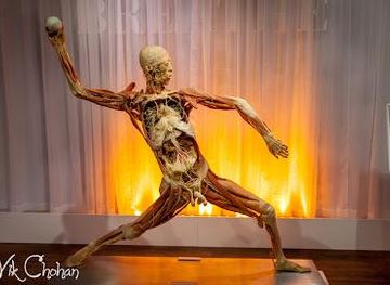 kentucky/henderson/attraction/real-bodies-at-horseshoe