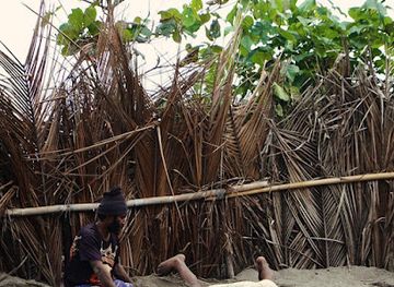 solomon-islands/nggela-islands/attraction/megapodes-field