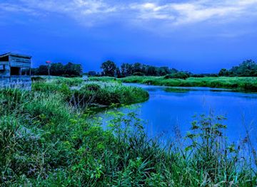 canada/southwestern-ontario/attraction/fingal-wildlife-management-area