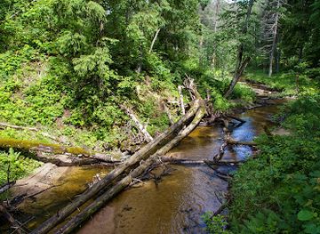 latvia/sigulda/attraction/tris-tilti-pie-vecajam-dzirnavam