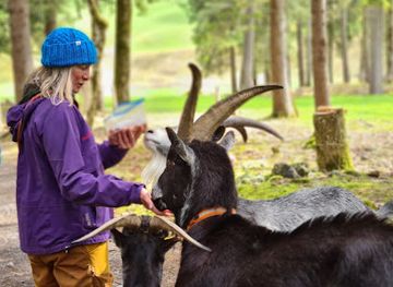 switzerland/uri/attraction/wanderleiterin-uri