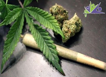 egypt/asyut/attraction/qaryat-arab-al-attiyat-al-qabiliya