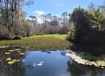 florida/big-cypress-national-preserve/attraction/kirby-storter-roadside-park