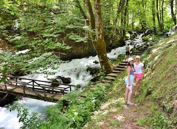 montenegro/zabljak/attraction/tara-springs-park
