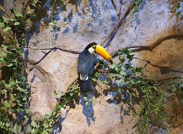 south-korea/seoul/attraction/zoolung-zoolung