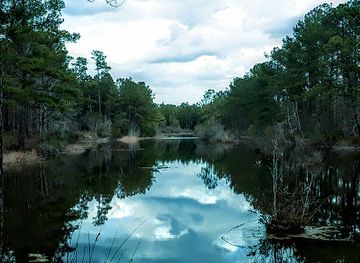 south-carolina/francis-marion-national-forest/attraction/i-on-swamp-interpretive-trail
