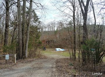 tennessee/west-tennessee/attraction/coon-creek-science-center