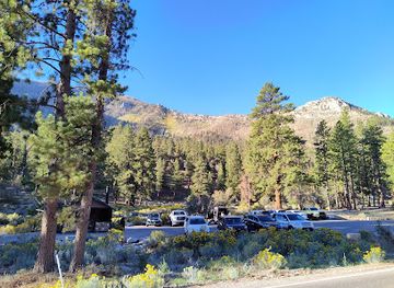 nevada/mount-charleston/attraction/fletcher-canyon-trailhead