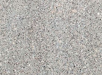 united-arab-emirates/umm-al-quwain/attraction/the-ghaf-tree