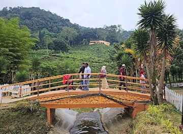 malaysia/cameron-highlands/attraction/waterfall