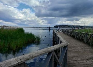 united-kingdom/cardiff/attraction/cardiff-bay-wetlands-reserve
