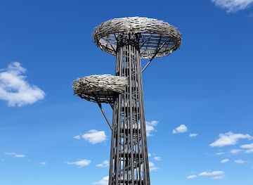 estonia/vorumaa/attraction/rouge-watchtower-pesapuu