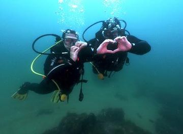 portugal/faro/attraction/easydivers-dive-center-diving-school