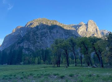 california/yosemite-national-park/attraction/mariposa-grove-of-giant-sequoias