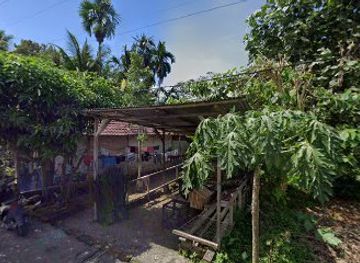 indonesia/bukit-lawang/attraction/go-green-bukit-lawang