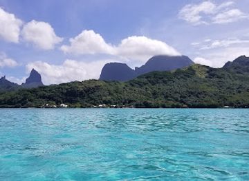 french-polynesia/windward-islands/attraction/moorea-activities-center-opunohu