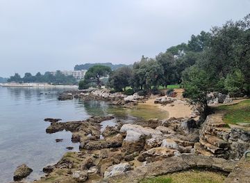 croatia/rovinj/attraction/zvijezda-cedrova