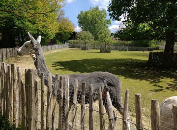 germany/aachen/attraction/drimborner-waldchen