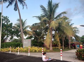 samoa/lalomanu/attraction/matagialalua-friendship-park