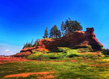 canada/fundy-national-park/attraction/burntcoat-head-park