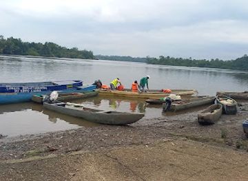 gabon/pongara-national-park/attraction/debarcadere-de-kango