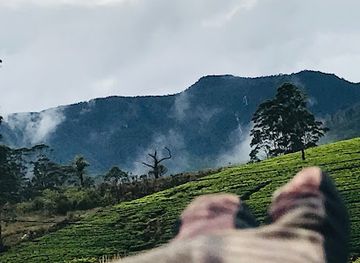 sri-lanka/adam-s-peak/attraction/rajamale-ella-falls