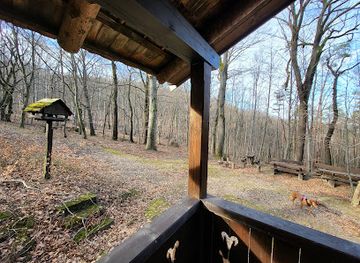 hungary/pilis-mountains/attraction/muflon-kunyho