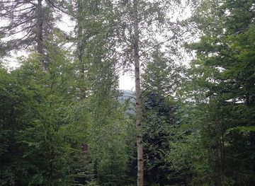 poland/silesian-beskids/attraction/zapalenica-wyciag