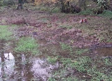 luxembourg/remerschen-lake/attraction/lamert-nature-reserve