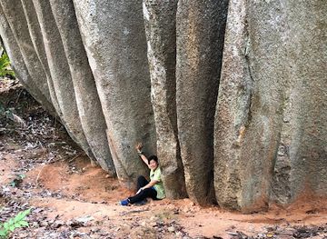 malaysia/negeri-sembilan/attraction/bukit-baginda