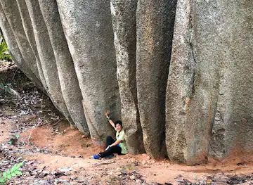 Bukit Baginda