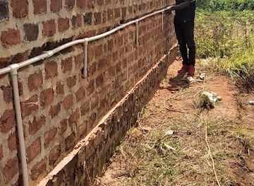 uganda/central-region/attraction/kawuku-kakindo-wetland