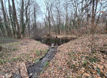 slovenia/maribor-pohorje/attraction/mrzlica-mlake-v-strazunu