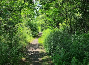 vermont/molly-falls-state-park/attraction/rail-trail