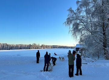 sweden/lapland/attraction/hedlunda-husky