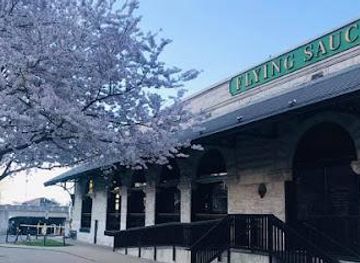 tennessee/murfreesboro/attraction/flying-saucer-draught-emporium