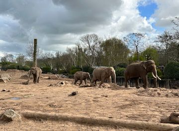 united-kingdom/chester/attraction/elephant-statue