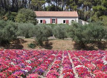 france/avignon/attraction/moulin-du-calanquet