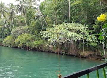 philippines/bohol/attraction/loboc