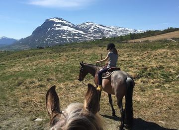 norway/hemsedal/attraction/haugen-gard