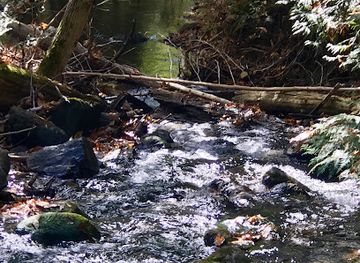 vermont/molly-falls-state-park/attraction/ewells-mills-historic-park